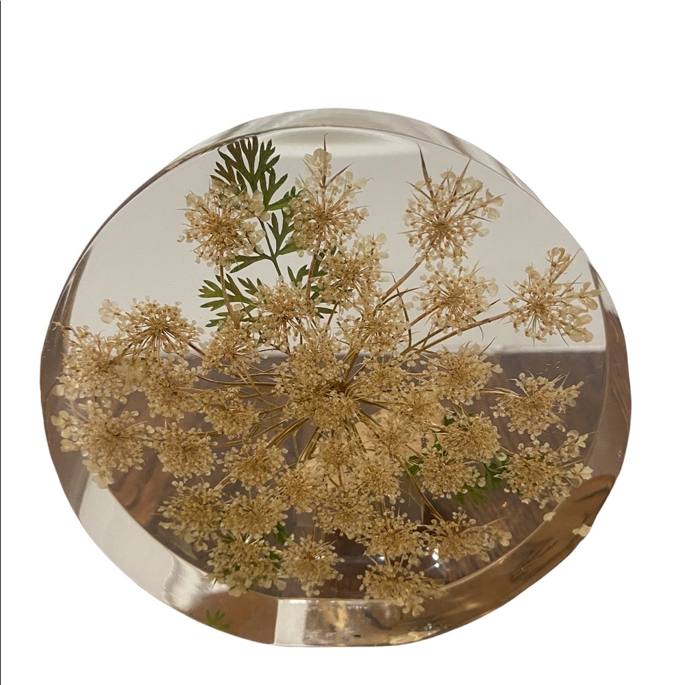W.Rolfe Signed Lucite VTG Paperweight Flat Circular Brown Green Flower 4.5”